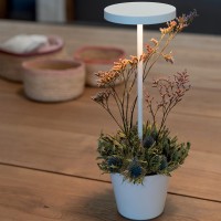 Zafferano Poldina Reverso Led Lamp with Rechargeable Battery