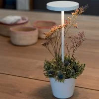 Zafferano Poldina Reverso Led Lampada a Batteria Ricaricabile