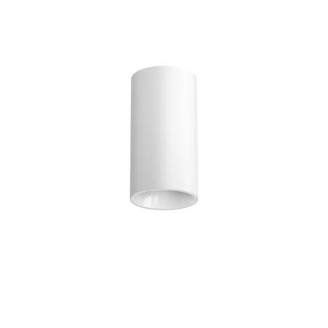 Flos Light Shadow PRO 45 Surface LED Medium Optic Spotlight