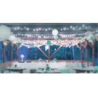 String Lights 10 E27 Lampholders 10 mt Extendable Outdoor