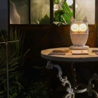 Karman Ti Vedo owl-shaped table lamp