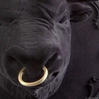 Karman Corrado bull-shaped wall lamp