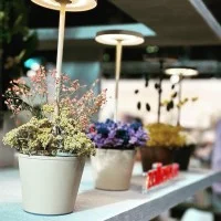 Zafferano Poldina Reverso Led Lamp with Rechargeable Battery