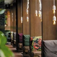 Karman Sherwood and Robin suspension lamp