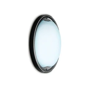 iGuzzini Ellipse Applique Plafoniera Esterni E27 60W Nero IP54