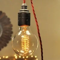 Vintage 40W globe bulb G80 E27 carbon filament Vintage 40W globe bulb G80 E27 carbon filament
