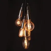 Vintage globe bulb g95 60w e27 carbon filament