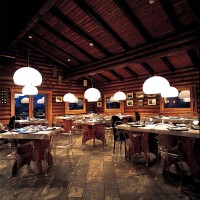 Kartell FL/Y suspension led lamp d52