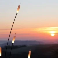 Karman Nilo lampada da terra