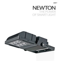 Cariboni NEWTON Grigio Alluminio LED Proiettore Esterno 140W
