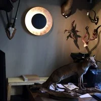Fontana Arte Lunaire lampada da parete soffitto led