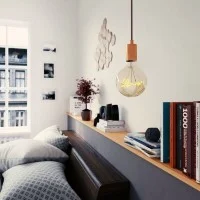 LED Curved Vintage Lamp Globe D.125 LOVE E27 5W 2000K 250lm