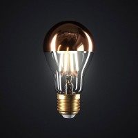LED Lamp Globe A60 Copper half sphere E27 7W 2700K 806lm Clear