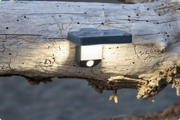 Solar LED lights