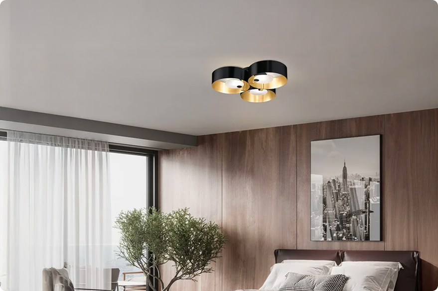 Ceiling lights