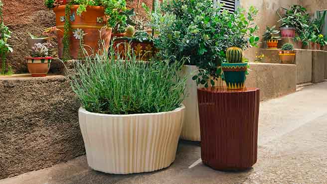 Vases and ice buckets