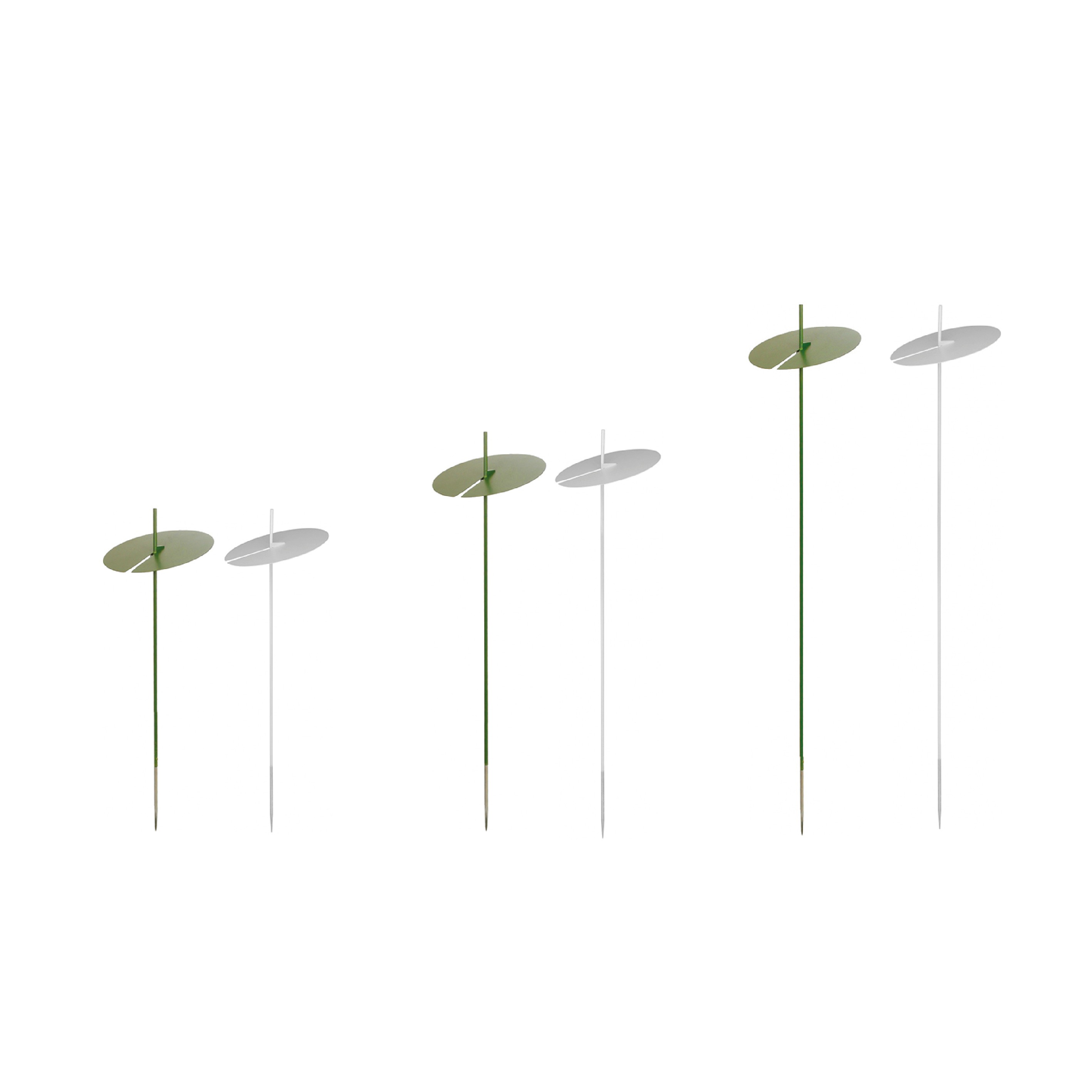 Lampioni e giardino