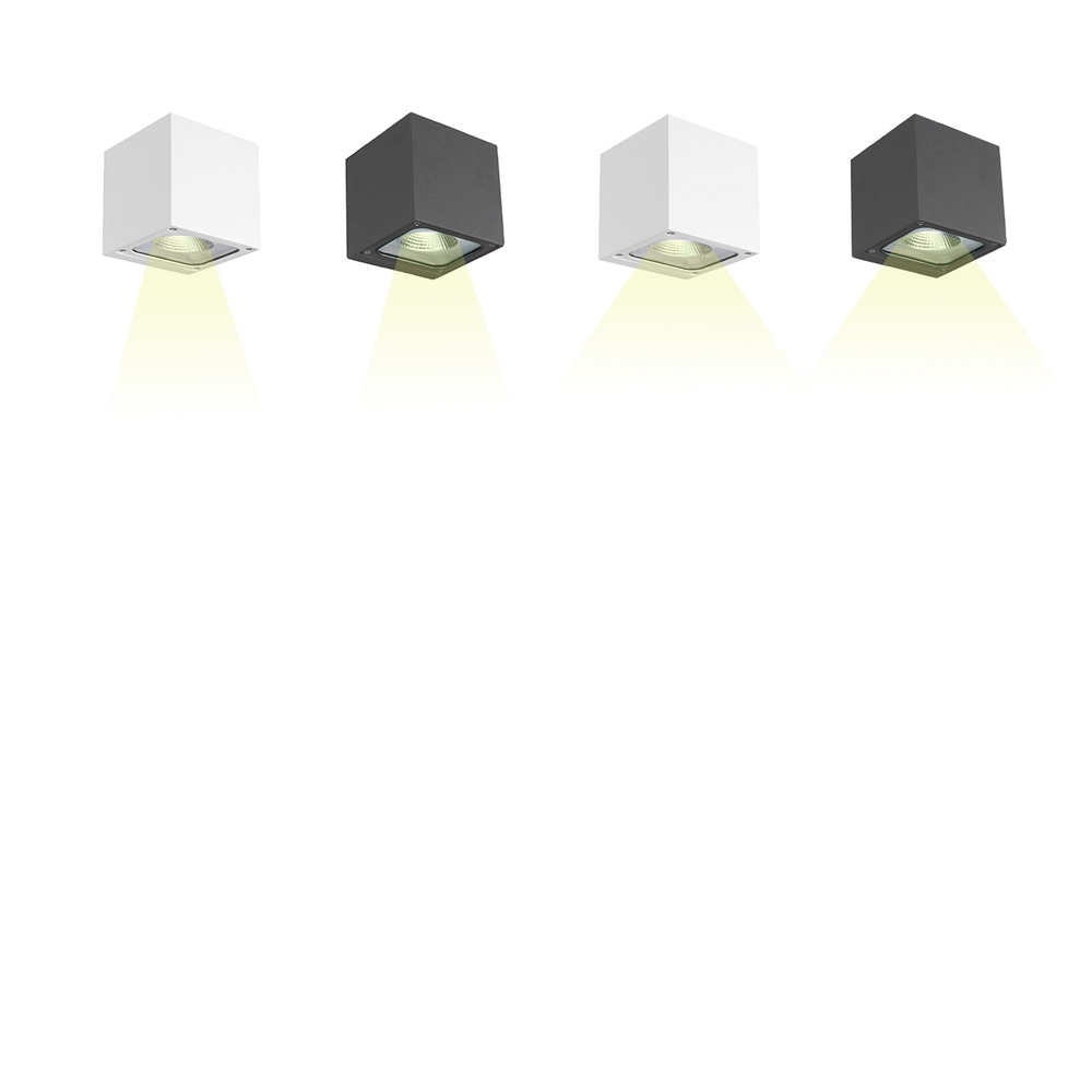 Ceiling lamps