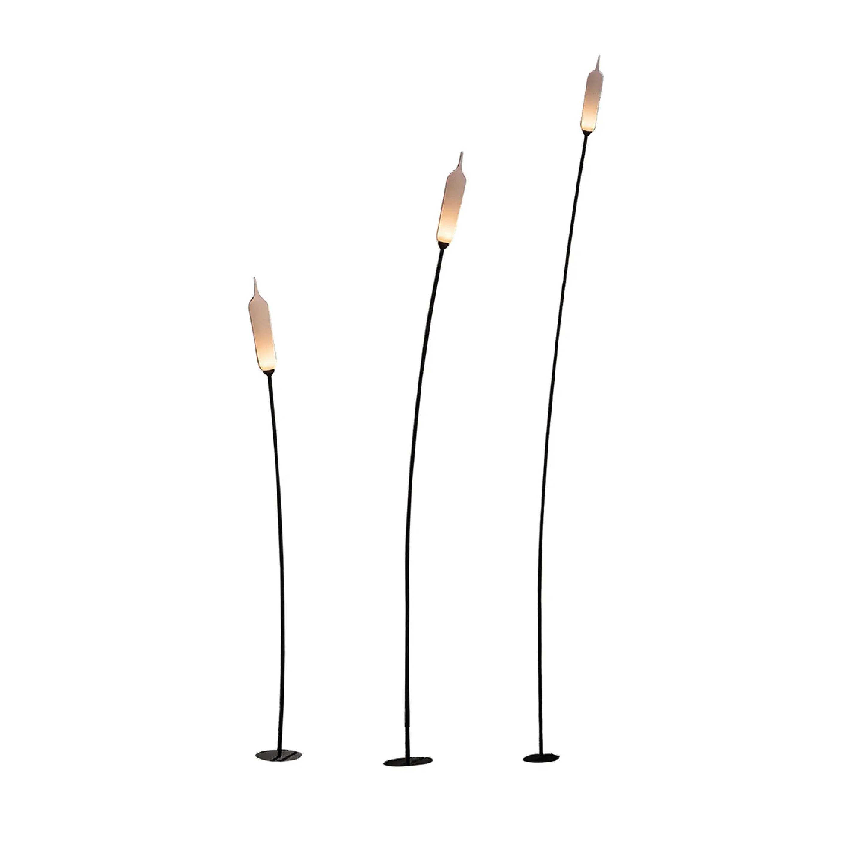 Lampade da Terra